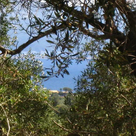 αδαμαντία 3* Γάιος